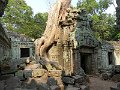 Angkor Ta Prohm P0182